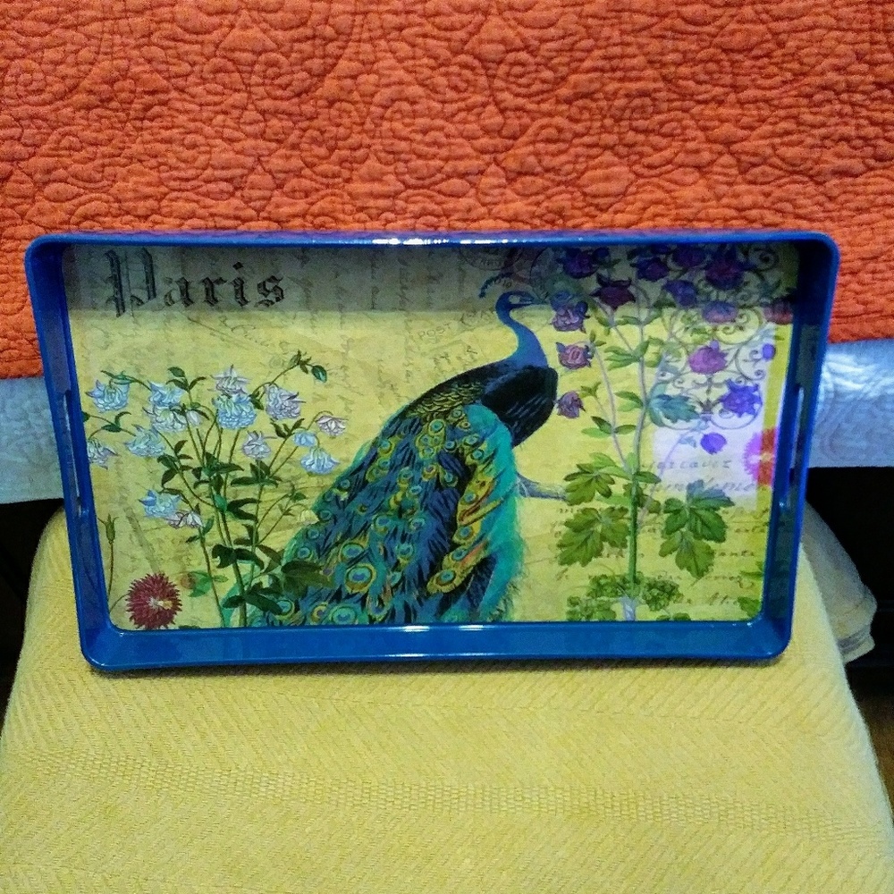 Plastic Serving Tray